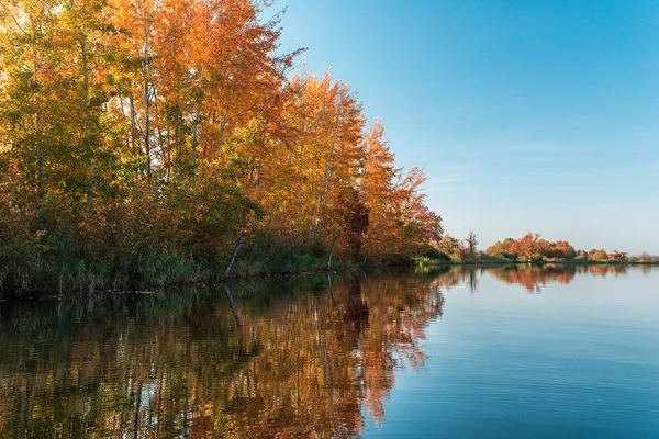 Autumn trees standing on the banks of the river — Stock Photo, Image