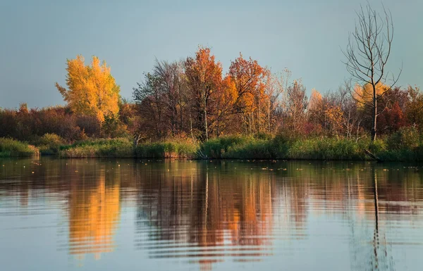 Podzimní stromy stojící na břehu řeky — Stock fotografie