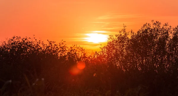 Bela paisagem com pôr do sol ardente — Fotografia de Stock