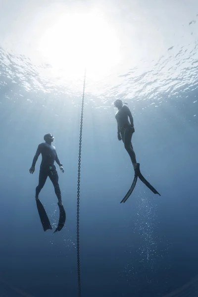 Twee freedivers oplopend uit de diepte — Stockfoto