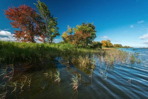 Autumn trees standing on the banks of the river — Stock Photo, Image