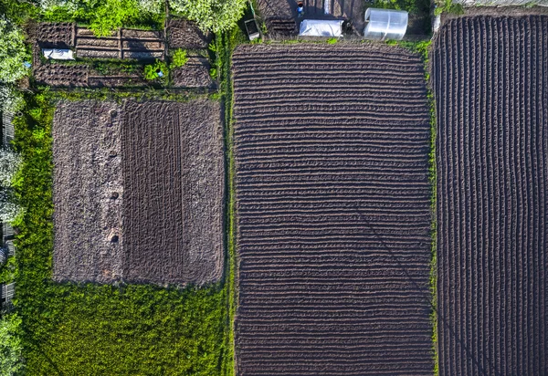 Agricultura campos cultivados — Fotografia de Stock