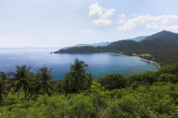 Baie et côte avec arbres tropicaux — Photo