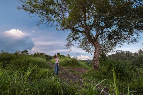 Mujer de pie bajo un gran árbol — Foto de Stock