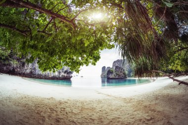 Sandy beach kayalık uçurum ile 