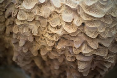 Kalker tortu Nehri üzerinde