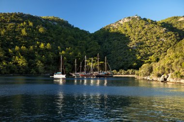 Bağlantılı yelkenli tekneler ile sakin defne