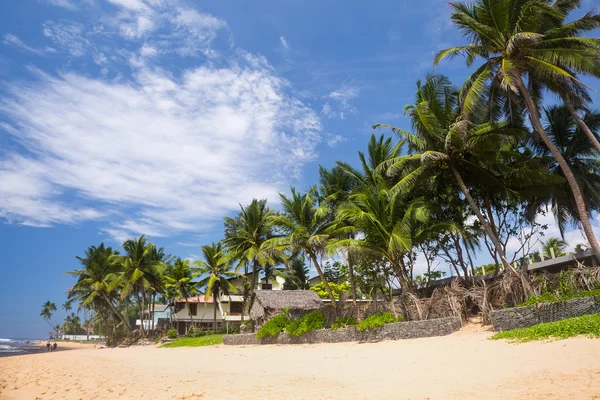 Tropische zandstrand — Stockfoto