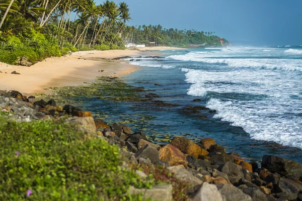 Tropical beach with palm trees — Stock Photo, Image