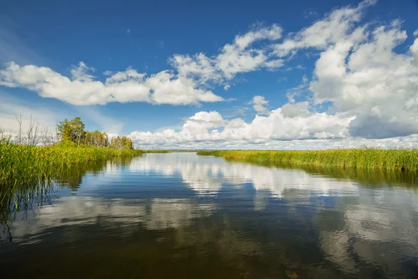 平静的水面夏天湖 — 图库照片