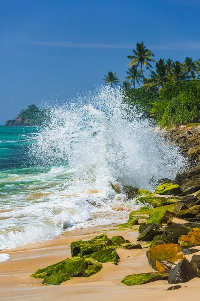 Tropisch stenen strand — Stockfoto