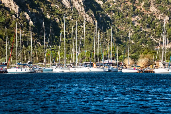 Sail yachts in the bay — Stock Photo, Image