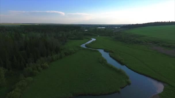 Flug über ruhigen Fluss mit Wald — Stockvideo