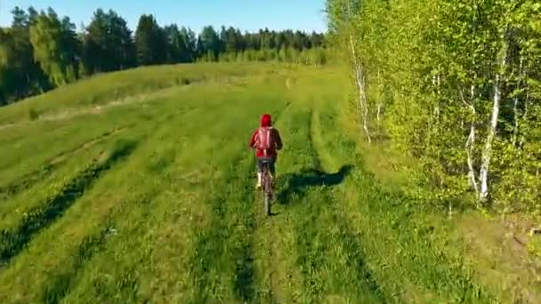 Luftaufnahme einer Radfahrerin auf einer Landstraße — Stockvideo