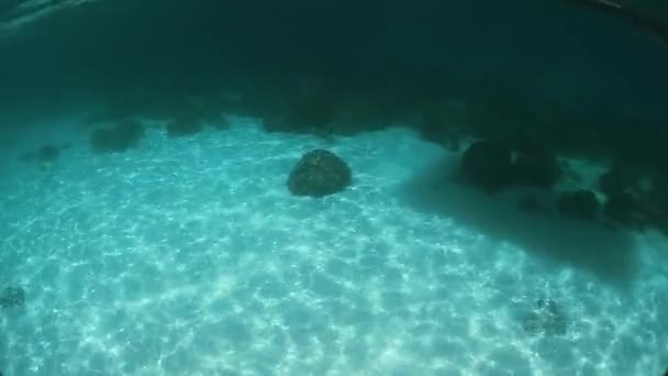 Dos jóvenes saltando en un mar — Vídeos de Stock
