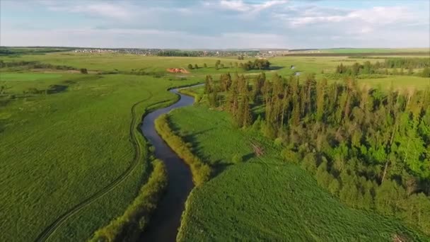 Πτήση πάνω από το ήρεμο ποτάμι με το δάσος — Αρχείο Βίντεο