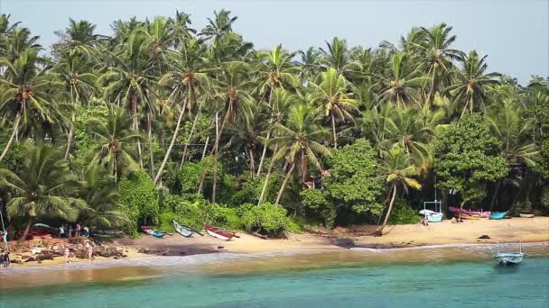 Playa de arena con palmeras — Vídeo de stock