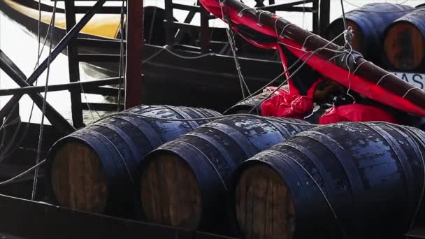 Barriles de madera con vino de Oporto — Vídeos de Stock