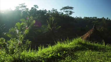 Su buharlaşma saman çatı