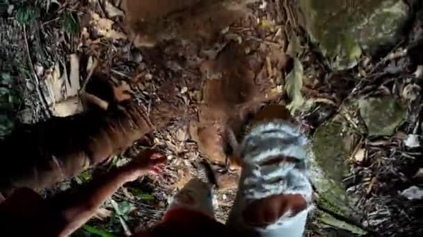 Člověk se pohybuje v tropickém pralese — Stock video