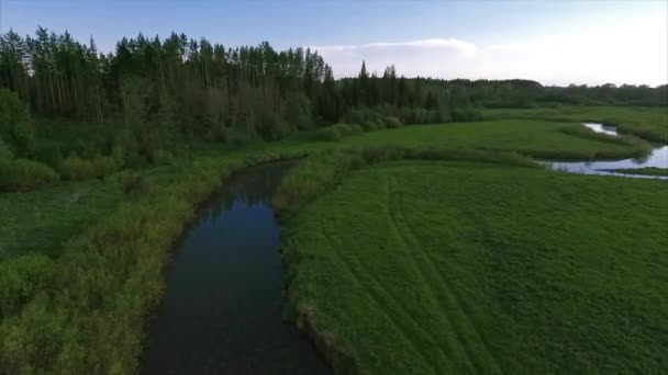 Orman ile sessiz nehir üzerinde uçuş — Stok video