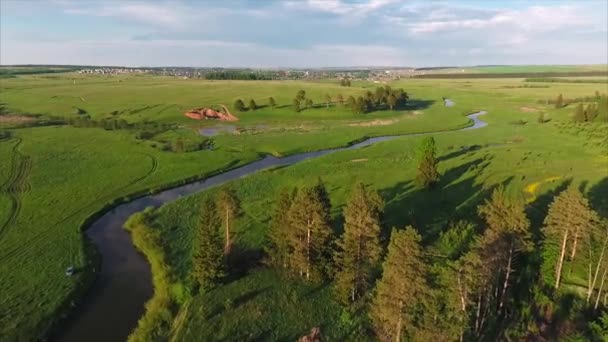 Volo sul fiume tranquillo con foresta — Video Stock