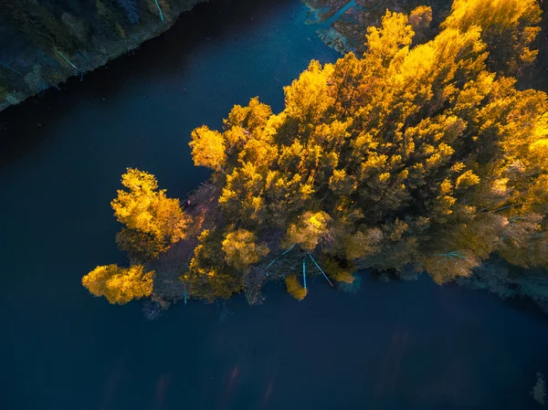 Lac dans la forêt d'automne — Photo