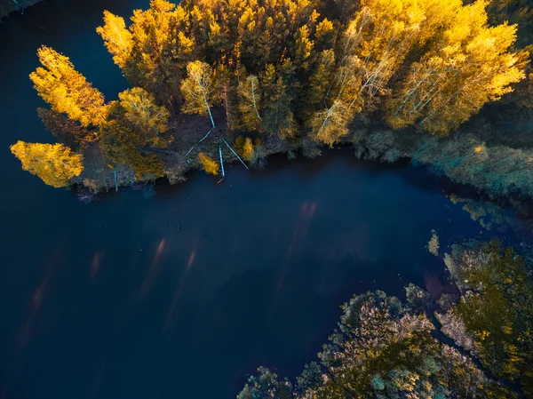 ทะเลสาบและชายฝั่งที่มีต้นไม้ — ภาพถ่ายสต็อก