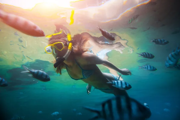 Young lady diving by the school of fish — Stock Photo, Image