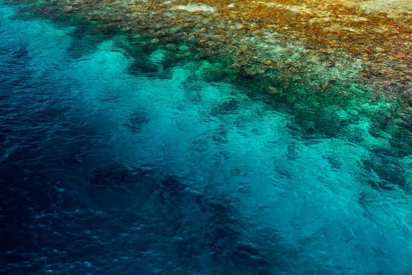 Korallenriff unter Wasser — Stockfoto