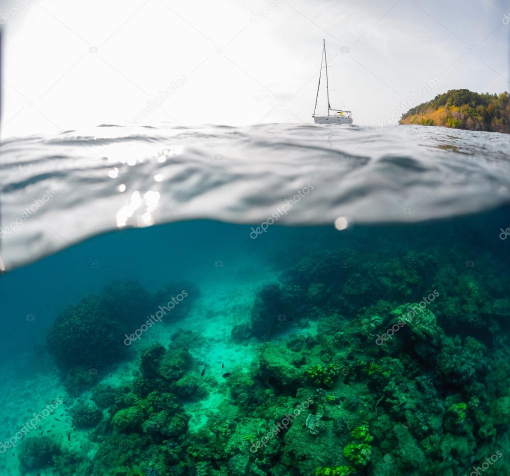 coral reef and sailing boat