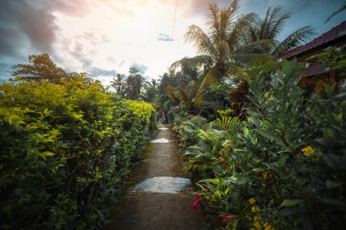 Ve çeşit çeşit bahçeler çıkaralım.