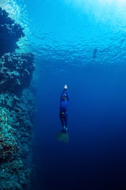 Free diver ascending along the coral reef clipart