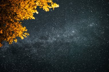 Samanyolu ile yıldızlı gökyüzü