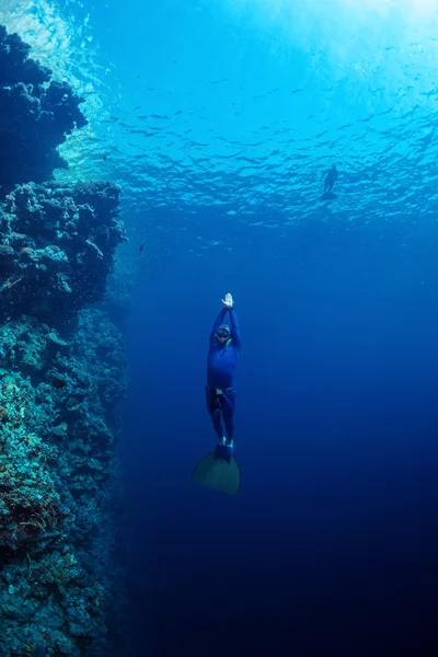 Buzo libre ascendiendo a lo largo del arrecife de coral — Foto de Stock