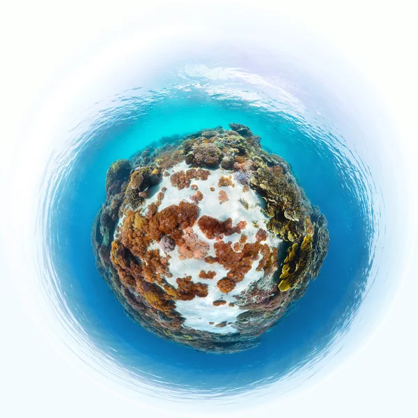 Bayan freediver deniz tabanı keşfetmek — Stok fotoğraf