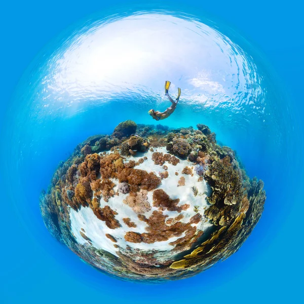 Lady freediver exploring the sea floor — Stock Photo, Image