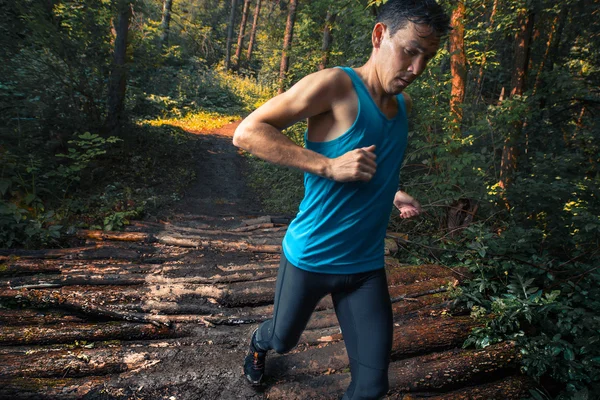 Atleta di trail running — Foto Stock