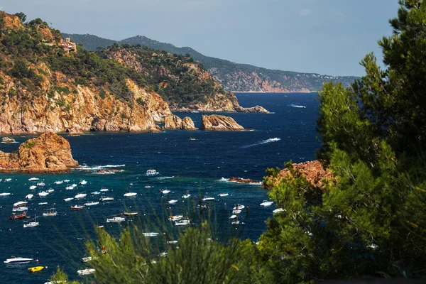 Θέα στη θάλασσα και τα αγκυροβολημένα καράβια — Φωτογραφία Αρχείου