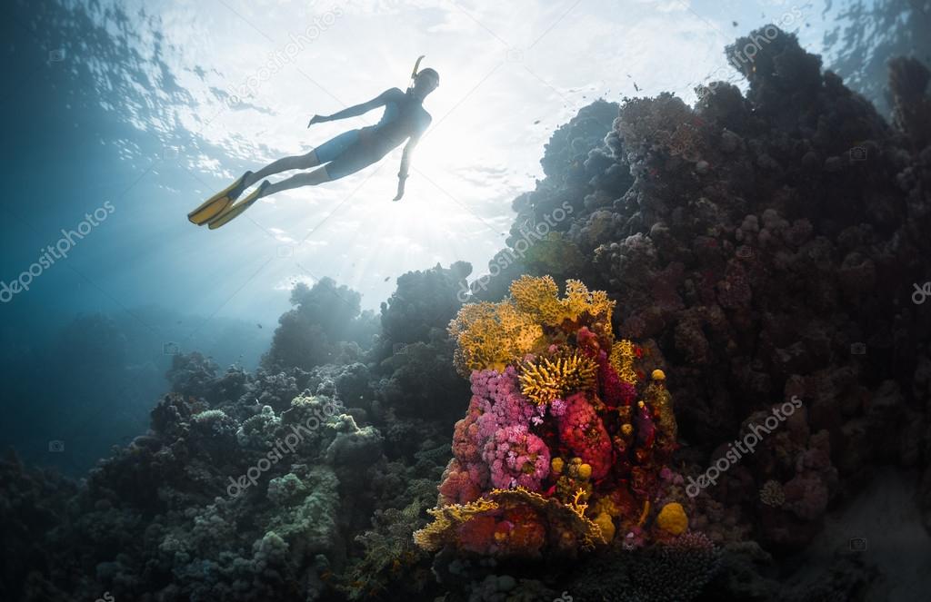 Free diver exploring vivid coral reef