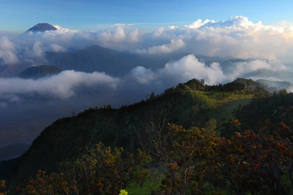 Bromo — Stockfoto