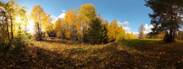 Autumn — Stock Photo, Image