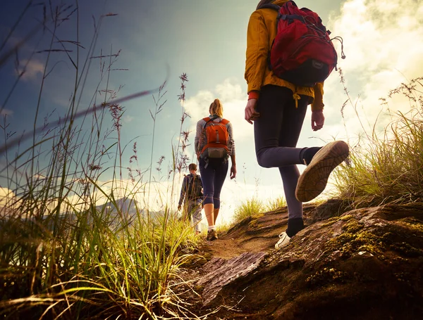 Hikers — Stock Photo, Image