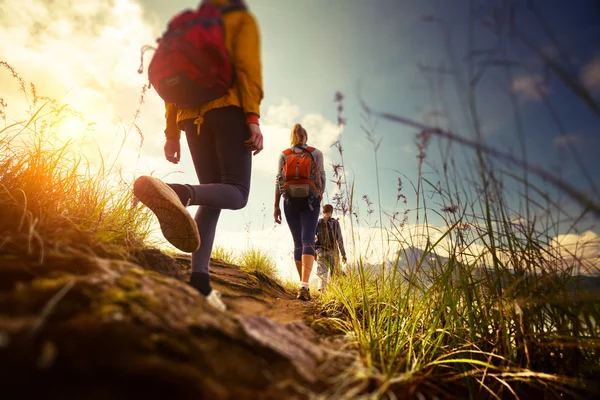 Hikers — Stock Photo, Image