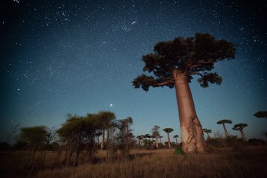 Madagaskar