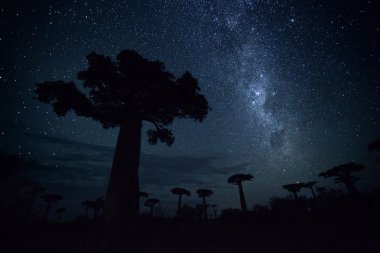 Madagaskar