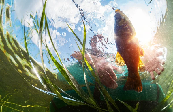 Fisherman — Stock Photo, Image