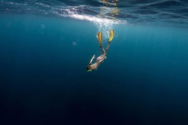 Diver — Stock Photo, Image