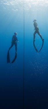 Freedivers clipart