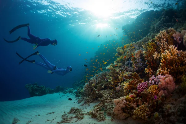 Freedivers — Stock Fotó